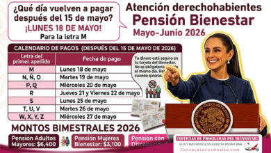 ¿Cuándo se reanudan los pagos de la Pensión Bienestar después del 15 de mayo de 2026?