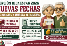 Pensión Bienestar 2026: nuevas fechas de registro y entrega de tarjetas para adultos mayores