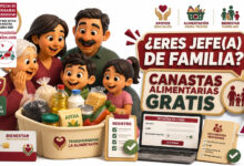 Chimalhuacán 2026: programa Transformando la Alimentación pide registro con datos de jefatura de familia 14 Chimalhuacán 2026: programa Transformando la Alimentación pide registro con datos de jefatura de familia