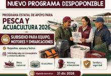 Programa Estatal de Apoyo para Pesca y Acuacultura 2026 en Baja California: requisitos, apoyos y fechas
