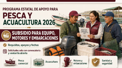 Programa Estatal de Apoyo para Pesca y Acuacultura 2026 en Baja California: requisitos, apoyos y fechas