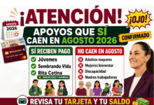 Lista de programas que sí pagan durante agosto de 2026: apoyos para niños, jóvenes, adultos y personas mayores
