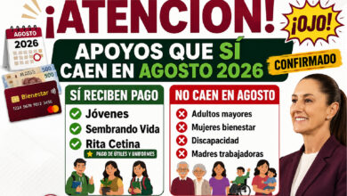 Lista de programas que sí pagan durante agosto de 2026: apoyos para niños, jóvenes, adultos y personas mayores