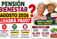 Pensión Bienestar agosto 2026: ¿habrá pago, cuándo será el nuevo registro y cuál es el próximo depósito?