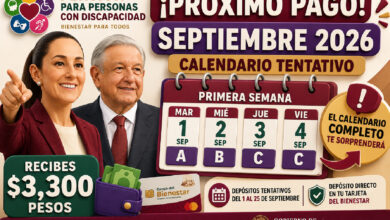 Pensión para Personas con Discapacidad: calendario tentativo de pagos para septiembre de 2026