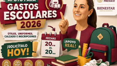 Mesa de trabajo 3 531
