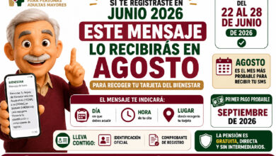 Este mensaje de texto recibirás en agosto para recoger tu Tarjeta del Bienestar si te registraste en junio
