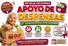 DIF Baja California mantiene disponible el apoyo de despensas: así puedes solicitarlo 12 DIF Baja California mantiene disponible el apoyo de despensas: así puedes solicitarlo