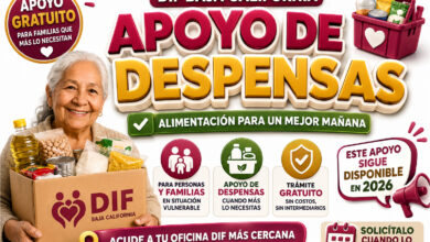 DIF Baja California mantiene disponible el apoyo de despensas: así puedes solicitarlo