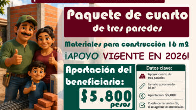 Paquete de cuarto de tres paredes 2026: apoyo de materiales para construir 16 m²