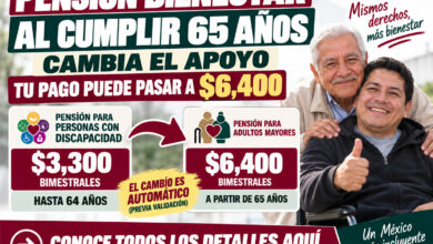 Pensión para Personas con Discapacidad: al cumplir 65 años cambia el apoyo y el pago puede pasar a $6,400