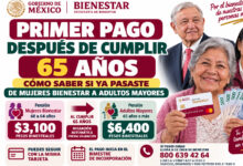 Primer pago después de cumplir 65 años: cómo saber si ya pasaste de Mujeres Bienestar a Adultos Mayores