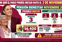 Mesa de trabajo 3 563