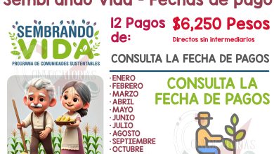 12 pagos de $6,250 pesos para los beneficiarios del programa Sembrando Vida - Calendario de Pagos