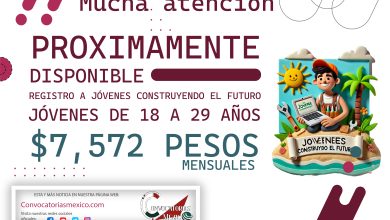 Proximante recibes hasta $7,572 pesos del programa Jóvenes Construyendo el Futuro 2024