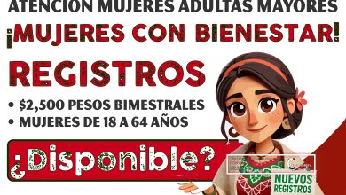 Mesa de trabajo 4 238