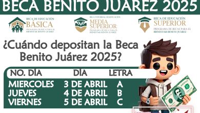 Mesa de trabajo 4 254