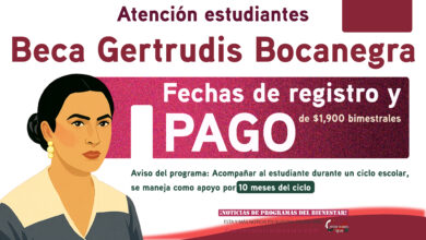 Mesa de trabajo 4 376