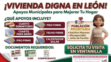 Mesa de trabajo 4 391