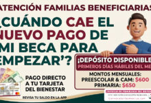 Nuevo pago para las familias beneficiarias de Mi Beca para Empezar: estos son los montos y la fecha de pago