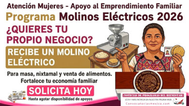 ¿Quieres tu propio negocio? Molinos eléctricos para el fortalecimiento de la economía familiar