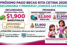 Mesa de trabajo 4 434