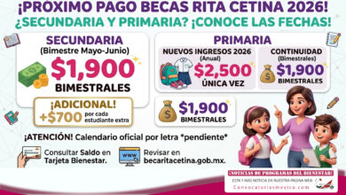 Mesa de trabajo 4 434