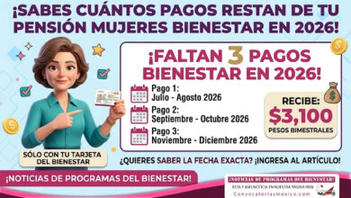 ¿Cuántos pagos restan de la Pensión Mujeres Bienestar después del pago de mayo 2026?