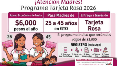 Mujeres madres de 25 a 45 años Tarjeta Rosa 2026 en Guanajuato: apoyo económico para mujeres madres
