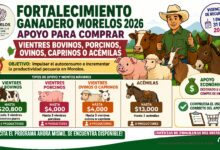 Mesa de trabajo 4 450