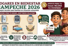 Hogares en Bienestar Campeche 2026: apoyos sociales para familias en situación vulnerable