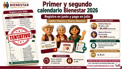 Primer y segundo calendario Bienestar 2026: registro en junio y pago en julio para Adultos Mayores y Mujeres Bienestar