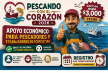Pescando con el Corazón 2026: apoyo de hasta 3 mil pesos para pescadores y trabajadores de acuacultura en Baja California
