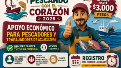 Pescando con el Corazón 2026: apoyo de hasta 3 mil pesos para pescadores y trabajadores de acuacultura en Baja California