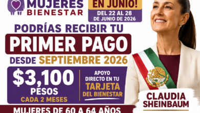 ¿Te registraste en junio? Podrías recibir tu primer pago desde septiembre de la Pensión Mujeres Bienestar 2026