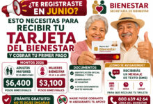 ¿Te registraste en junio? Esto necesitas para recibir tu Tarjeta del Bienestar y cobrar tu primer pago