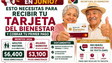 ¿Te registraste en junio? Esto necesitas para recibir tu Tarjeta del Bienestar y cobrar tu primer pago