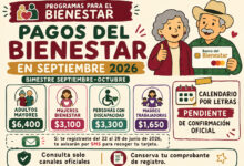 Pagos del Bienestar en septiembre 2026: estos programas recibirán depósito, montos y cuándo entregan las tarjetas
