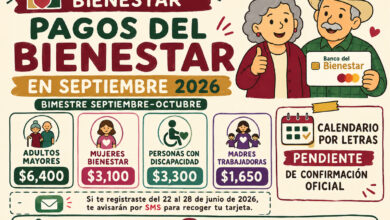 Pagos del Bienestar en septiembre 2026: estos programas recibirán depósito, montos y cuándo entregan las tarjetas