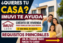 Mesa de trabajo 4 497