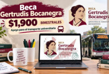 Beca de transporte de $1,900: qué universitarios pueden registrarse hasta el 30 de septiembre