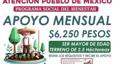 Apoyo mensual de $6,250 pesos para los trabajadores del campo por parte de Sembrando Vida 2024