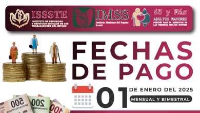Tres fechas de pagos para los adultos mayores de la Pensión Bienestar 2025