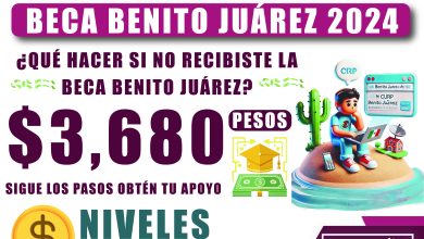 ¿Qué hacer si no recibiste el último apoyo de la Beca Benito Juárez del año?