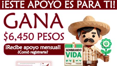 ¿Cuáles son los requisitos para obtener 6 mil 450 pesos mensuales por parte de la Secretaría del Bienestar?