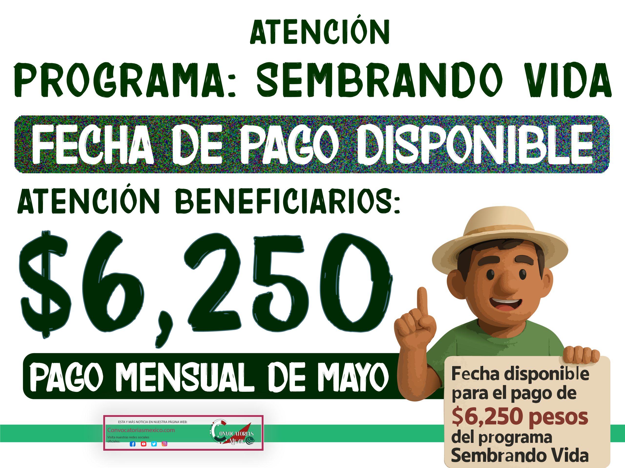 Fecha de pagos de $6,250 pesos del programa sembrando vida