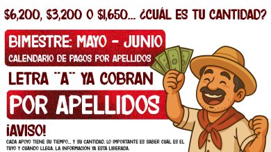 $6,200 + $3,200 + $3,000 + $1,650 ¿Cuál te toca? Pago de los Programas del Bienestar 2025
