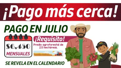 Este 12 de julio Recibes $6,450 pesos de este programa del bienestar