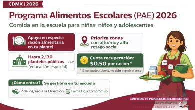 Mesa de trabajo 5 358