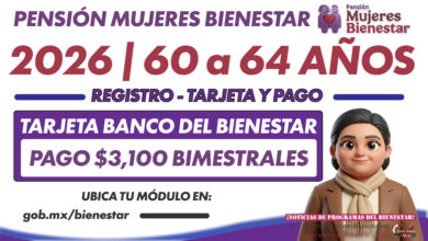 Mesa de trabajo 5 374